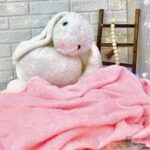عروسک خرگوش جیلی مدل پتودار