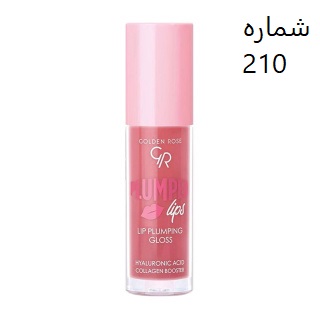 لیپ گلاس حجم دهنده گلدن رز