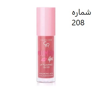 لیپ گلاس حجم دهنده گلدن رز